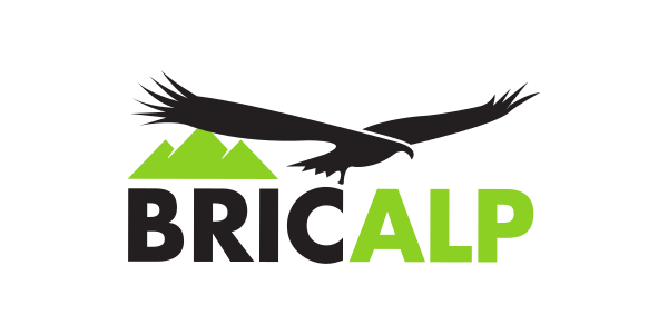 Bricalp logo