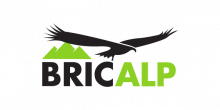 Bricalp logo